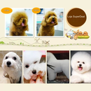 Máquina de Tosa Pet Bateria Recarregável - Últimas Unidades Disponíveis